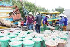 Tiền Giang đặt mục tiêu tăng trưởng kinh tế năm nay từ 7-7,5%. (Ảnh: Hữu Chí/TTXVN)