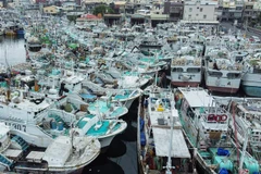 Tàu thuyền neo đậu nhằm tránh trú bão Koinu tại huyện Pingtung, Đài Loan (Trung Quốc) ngày 4/10/2023. (Ảnh: AFP/TTXVN)