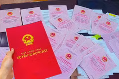 Ảnh minh họa. (Nguồn: Báo Điện tử Chính phủ)