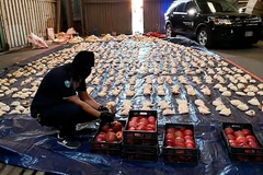 Ảnh minh họa. (Nguồn: Aljazeera)