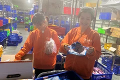 Nguyễn Thị Thu Trang, đồng sáng lập Shark Market, đang phân loại các lô hàng trong tủ đông ở nhiệt độ âm 25 độ C vào ngày 15/11/2023. (Ảnh: Yonhap/Vietnam+)