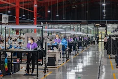 Nhà máy của Việt Vương tại Bến Tre. (Ảnh: Vietnam+)