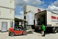 Lô hàng mật hoa dừa tươi chuẩn bị xuất khẩu sang thị trường Mỹ. (Ảnh: TTXVN phát)