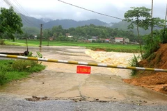 (Ảnh minh họa. Trung Kiên/TTXVN)