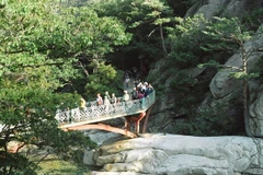 Ảnh minh họa. (Nguồn: koogle.tv)