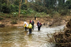 Theo dấu chân đi tìm trầm giữa đại ngàn rừng Trường Sơn 