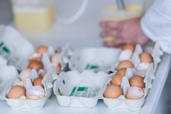 (Nguồn: AFP/TTXVN)