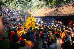 Người dân chen nhau để cướp lộc hoa tre tại lễ Hội Gióng đền Sóc năm 2016. (Ảnh: Quý Trung/TTXVN)