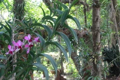 (Ảnh: Phạm Cường/TTXVN)