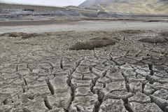 Ảnh minh họa. (Nguồn: AFP/TTXVN)