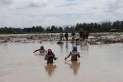 Tìm kiếm người mất tích sau bão Tembin tại tỉnh Lanao del Norte, Philippines ngày 24/12. (Nguồn: THX/TTXVN)