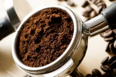 (Nguồn: resource.co)