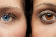 Ảnh minh họa. (Nguồn: viralportal.net)