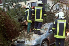 Cây đổ do bão tại Đức. (Nguồn: AFP)
