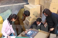 Ảnh minh họa. (Nguồn: TTXVN)