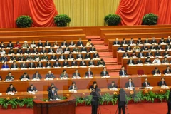  Ảnh minh họa. (Nguồn: TTXVN)