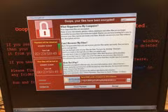 Hàn Quốc thành lập cơ quan tham vấn chính sách về WannaCry 