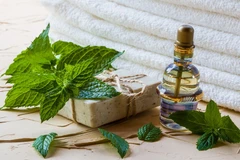 Phái đẹp nên cẩn trọng khi dùng mỹ phẩm chứa bạc hà