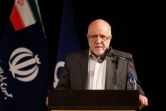 Bộ trưởng Dầu mỏ Iran Bijan Zanganeh. (Nguồn: AFP/TTXVN)