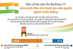 Bầu cử Hạ viện Ấn Độ khóa 17: Liên minh cầm quyền giành chiến thắng. (Nguồn: TTXVN)