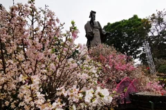 Không gian lễ hội diễn ra ngay dưới chân tượng đài Lý Thái Tổ. (Ảnh: Thành Đạt/TTXVN)