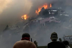 Hiện trường vụ cháy: (Nguồn: El Pais)