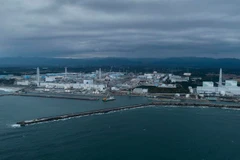 Ảnh chỉ có tính minh họa. (Nguồn: Greenpeace USA)