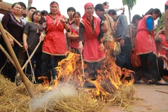 (Ảnh: Minh Sơn/ Vietnam+)