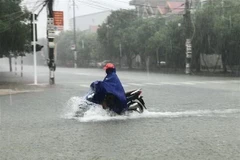 Ảnh minh họa. (Ảnh: Hoàng Ngà/TTXVN)