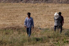 Người dân Thái Lan vẫn đang điêu đứng vì hạn hán. (Nguồn: Coconuts)