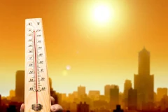 Ảnh chỉ có tính minh họa. (Nguồn: GreenBiz)