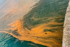 Nước biển có màu...da cam. (Nguồn: ITV)