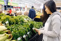 Siêu thị Big C gói sản phẩm nông sản bằng lá chuối tươi. (Nguồn: Mỹ Phương/TTXVN)
