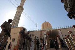 Chiến dịch chống khủng bố của Ai Cập đang trong giai đoạn quan trọng. (Nguồn: Al Jazeera)