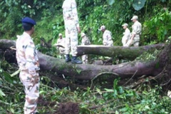 Hiện trường vụ tấn công. (Nguồn: Guwahati Plus)