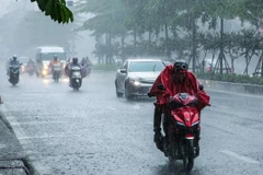 Ảnh minh họa. (Nguồn: Vietnam+)