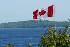 Ảnh minh họa. (Nguồn: Bezinga)