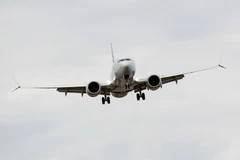 Máy bay Boeing 737 Max 8 của Hãng hàng không American Airlines hạ cánh tại sân bay Reagan ở Washington D.C., Mỹ, ngày 13/3/2019. (Nguồn: THX/ TTXVN)