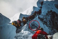 Bức ảnh khiến cư dân mạng đau xót. (Nguồn: The Sun)