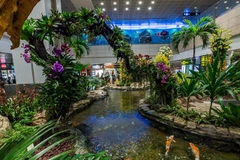 Một góc tại sân bay Changi của Singapore. (Nguồn: Qantas)