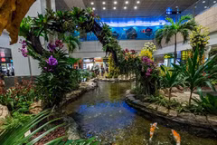 Một góc tại sân bay Changi của Singapore. (Nguồn: Qantas)