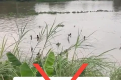 Thông tin sai sự thật đang lan truyền trên TikTok. (Ảnh chụp màn hình/TTXVN phát)