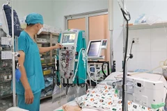 Một bệnh nhi mắc bệnh dại được điều trị tích cực tại Bệnh viện Nhi đồng 2 Thành phố Hồ Chí Minh. (Ảnh: TTXVN phát)