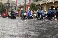 Ảnh minh họa. (Ảnh: Hồng Giang/TTXVN)