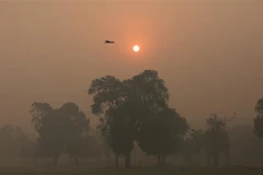 Ảnh minh họa. (Ảnh: THX/TTXVN)