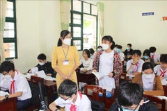 Ảnh minh họa. (Ảnh: Hữu Chí/TTXVN)