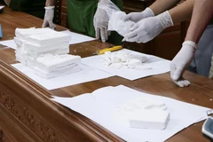 Ảnh minh họa. (Ảnh: Việt Hoàng/TTXVN)