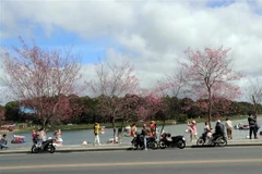 Khu vực Hồ Xuân Hương ở thành phố Đà Lạt. (Ảnh: Quốc Hùng/TTXVN)