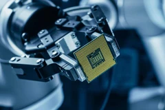 Ảnh minh họa. (Nguồn: Shutterstock)