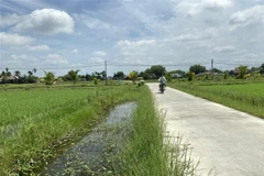 Ảnh minh họa. (Ảnh: Đức Hạnh/TTXVN)